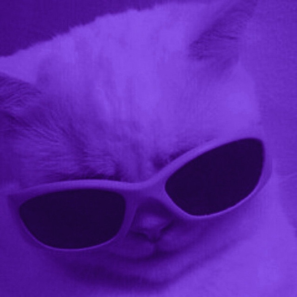 Meet your Posher, Ashleigh